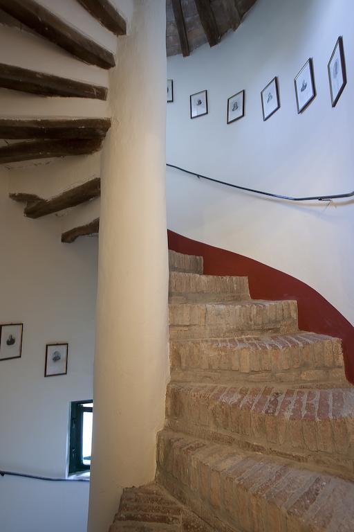 Fattoria Della Gioiosa - Agriturismo La Gelinda Hostal Casale Marittimo Exterior foto